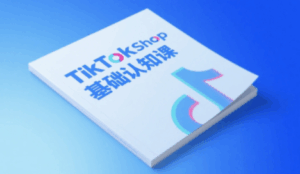 梨子姐姐·TikTok小店基础认知课-联创在线