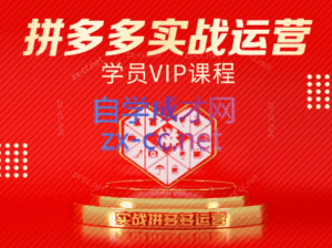 推易电商·拼多多实战运营课(更新2025月)-联创在线