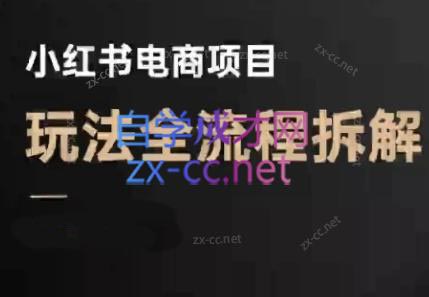 菲菲老师·小红书电商玩法(更新7月)-联创在线