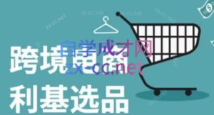 阿甘·2025年跨境电商选品案例(更新7月)-联创在线