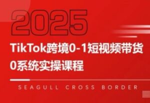 大亿老师·TikTok跨境0-1短视频带货-联创在线