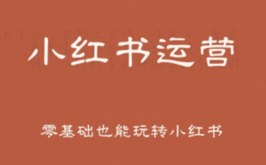 一北老师·小红书运营设计博主独立变现-联创在线