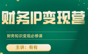 有有老师·财务IP变现营，财务知识变现必修课-联创在线