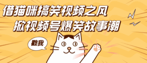 借猫咪搞笑视频之风，掀视频号爆笑故事潮，轻松日赚四位数，开启无门槛赚钱新体验！-联创在线