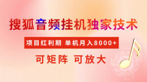 全网首发【搜狐音频挂机】独家技术，项目红利期，可矩阵可放大，稳定月入8000+-联创在线