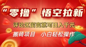 “零撸”悟空拉新玩法，评论区留言就可日入千元-联创在线