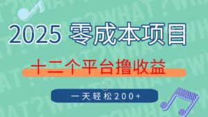 2025年零成本项目,十二个平台撸收益,单号一天轻松200+-联创在线