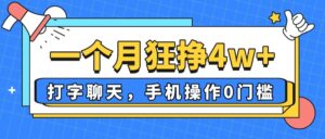 一个月狂挣4w+，打字聊天，手机操作0门槛，新手小白都能做！-联创在线