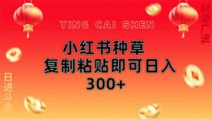 小红书种草无脑操作复制粘贴即可日入300+-联创在线