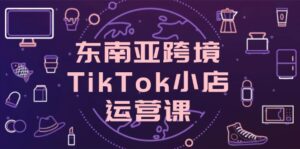 东南亚跨境TikTok小店运营课，掌握店铺设置与流量转化核心技巧-联创在线