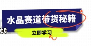 水晶赛道带货秘籍，国学结合、短视频起号、拍摄技巧、直播话术等内容-联创在线