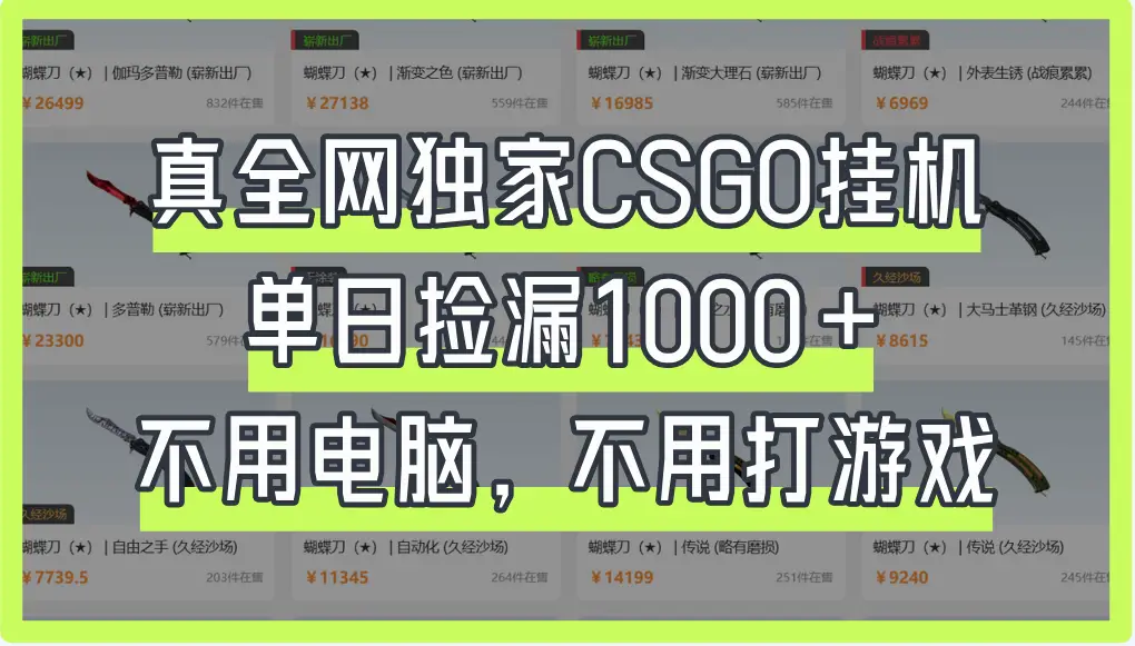 真全网独家CSGO挂机，单日捡漏1000+-联创在线