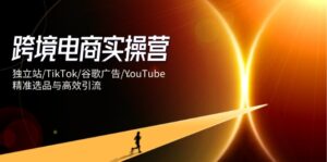 跨境电商实操营:独立站/TikTok/谷歌广告/YouTube,精准选品与高效引流-联创在线