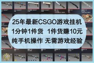 25年最新CSGO游戏挂机，1分钟1件货，1件货赚10元 纯手机操作 无需游戏经验-联创在线