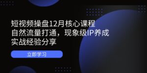 短视频操盘12月核心课程：自然流量打通，现象级IP养成，实战经验分享-联创在线