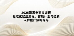 2025淘系电商实训班：标准化起店流程，智能计划与拉新，人群推广策略等等-联创在线