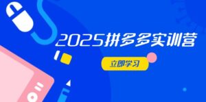 2025拼多多实训营：深度剖析运营关键，助力电商人快速提升-联创在线