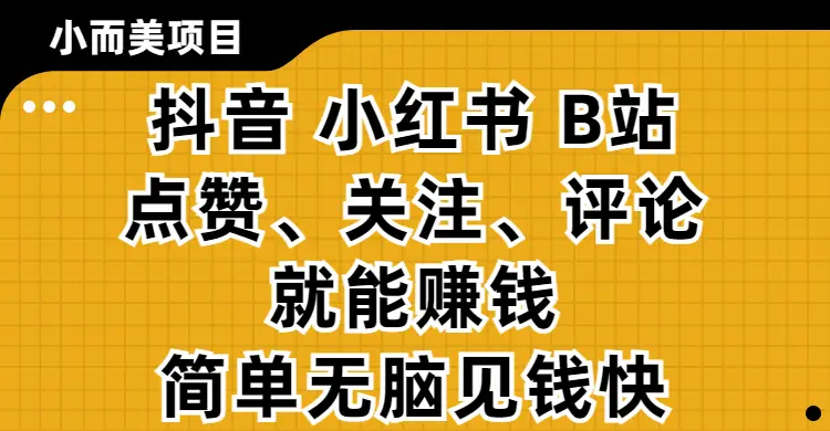 小而美的项目，抖音、小红书、B站视频点赞、关注、评论就能赚钱，简单无脑立见收益!妥妥的零撸项目-联创在线