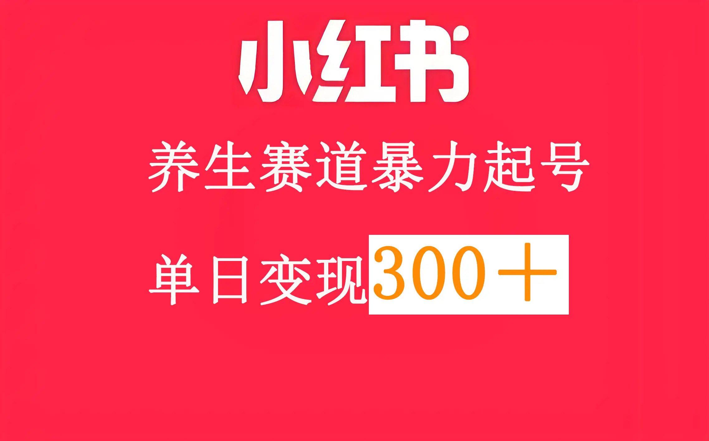 小红书养生赛道-联创在线
