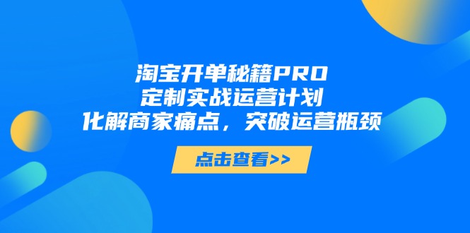 淘宝开单秘籍PRO，定制实战运营计划，化解商家痛点，突破运营瓶颈-联创在线