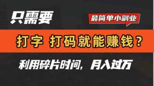 只需要打字，打码，就能赚钱？简单的赚钱小副业，利用碎片时间，月入过万-联创在线