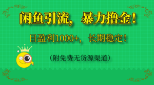 闲鱼引流，暴力撸金，日盈利1000+，长期稳定！（附免费无货源渠道）-联创在线