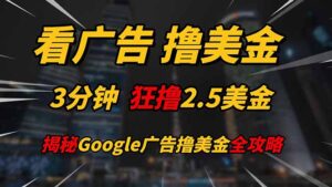 看广告，撸美金！！3分钟赚2.5美金！！日入200美金不是梦！揭秘Google…-联创在线