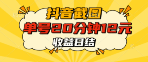 抖音截图上传 单号20分钟收益12元 不风控 批量无限做 收益日结-联创在线