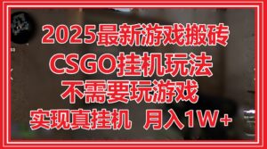 2025最新游戏搬砖，CSGO挂机，不需要玩游戏，实现真挂机，月入1W+-联创在线