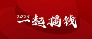 2025年，请“不择手段”去搞钱!-联创在线