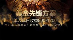 免费技术！小众赛道！一年布局抵三年努力，每日800+-联创在线