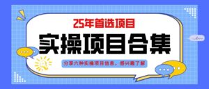 （14767期）2025年实操六大项目实操演练，挂机类型，AI直播类型，轻资产创业类型，…-联创在线