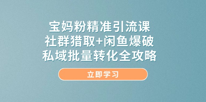 宝妈粉精准引流课，社群猎取+闲鱼爆破，私域批量转化全攻略-联创在线