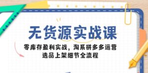 无货源实战课：零库存盈利实战，淘系拼多多运营，选品上架细节全流程-联创在线