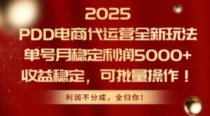 2025PDD电商代运营全新玩法，单号月稳定利润5000+，收益稳定，可批量操作-联创在线