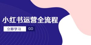 小红书运营全流程，爆款选题文案，视频制作技巧，进阶达人宝典-联创在线