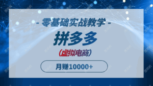 拼多多虚拟电商，零基础实战教学，快速打爆商品，新手也能月入10000+-联创在线