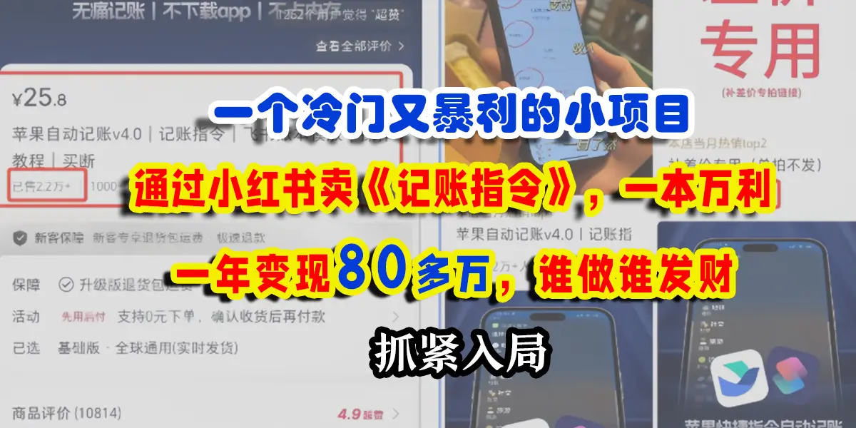 一个冷门又暴利的小项目，通过小红书卖记账指令，一本万利，一年变现80多个，谁做谁发财-联创在线