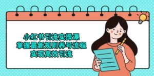小红书引流实操课，掌握最新规则养号流程，实现高效引流-联创在线