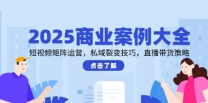 2025商业案例大全，短视频矩阵运营，私域裂变技巧，直播带货策略-联创在线