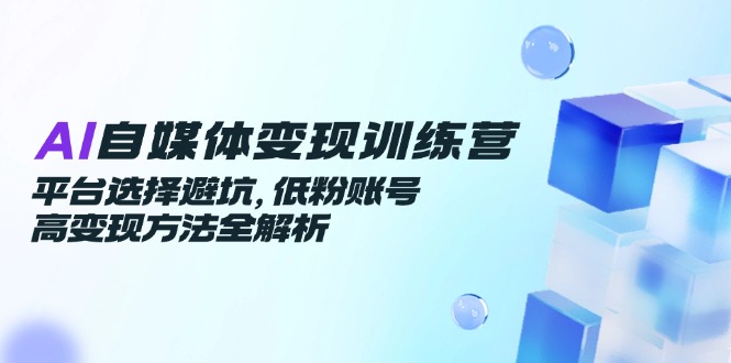 AI自媒体变现训练营，平台选择避坑，低粉账号高变现方法全解析-联创在线