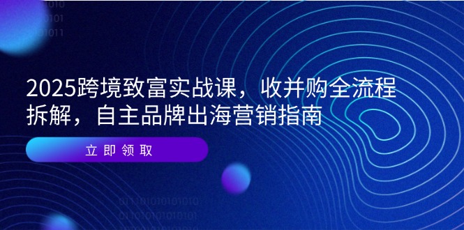 2025跨境致富实战课，收并购全流程拆解，自主品牌出海营销指南-联创在线