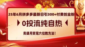 25年6月拼多多最新日引300+付费创业粉，0投流纯自热 卖课月变现六位数方法-联创在线