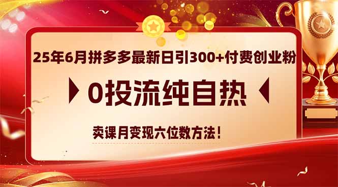 25年6月拼多多最新日引300+付费创业粉，0投流纯自热 卖课月变现六位数方法-联创在线