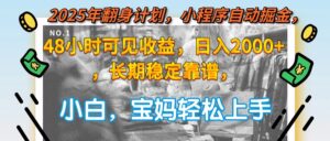 2025年翻身计划，小程序自动掘金48小时可见收益，日入2000+，长期稳定…-联创在线