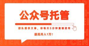 【公众号托管 】我提供文章，你每天５分钟复制发布，最高月入1W-联创在线