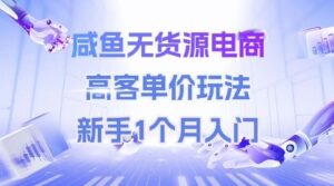 咸鱼无货源电商，高客单价玩法，新手1个月入门-联创在线