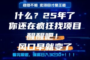 什么？25年你还在疯狂找项目做，醒醒吧，看完这些你全都懂了！【揭秘】-联创在线