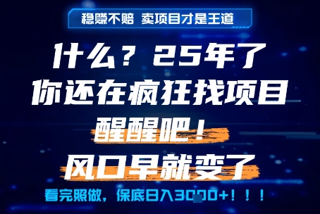 什么？25年你还在疯狂找项目做，醒醒吧，看完这些你全都懂了！【揭秘】-联创在线