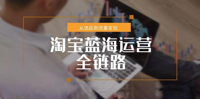 淘宝蓝海运营全链路，从选品到流量变现，小类目突围完整方案-联创在线